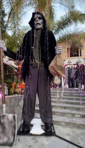 Halloween collection of animatronic halloween life size props