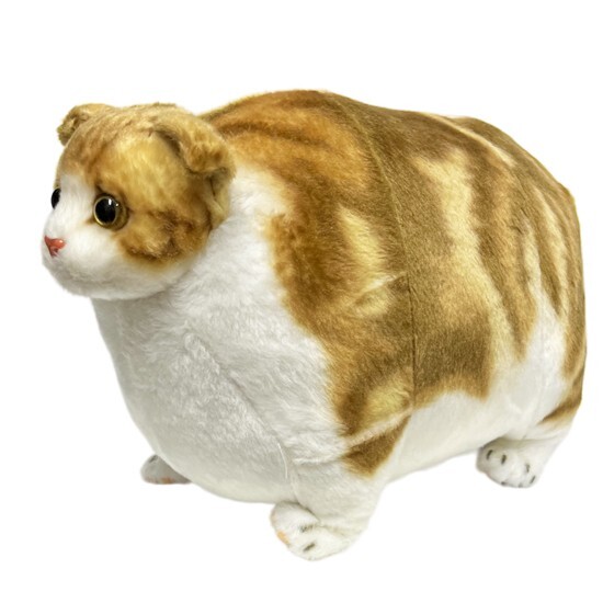 FAT CAT　胖虎　001 Fatty Zoo Scottish Fold Cat Animals Plush Toy Kawaii Neko from