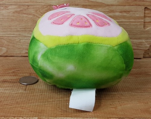 Lena Guava Watermelon Squishmallows 5" Kellytoy Stuffed Plush Food - Picture 6 of 8