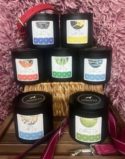 Soy Dog Candles 16oz 2 Wick