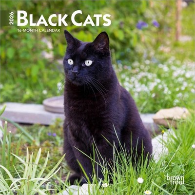 Black Cats | 2026 7 x 14 Inch (Hanging) Monthly Mini Wall Calendar | BrownTrout