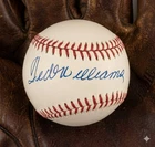Ted Williams Signed Autographed Official American League (OAL) Baseball