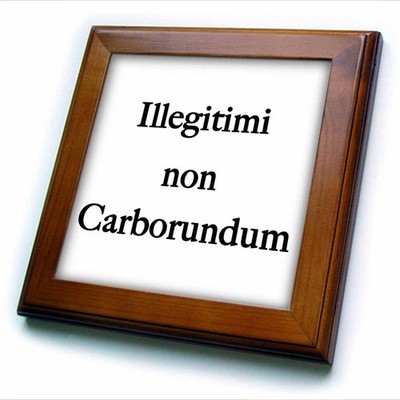 3dRose Illegitimi Non Carborundum Black Framed Tile, 6 x 6