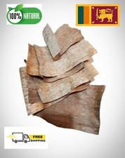 100 Natural Eco Friendly Dried Banana Leaves 30 pcs