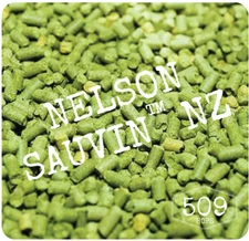 Nelson Sauvin Hop Pellets 1 pound for Home Brew 509hops