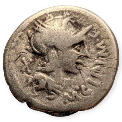 Roman Republic Marcus Cipius AR Denarius 115-114 BC Ancient Silver Coin 13P
