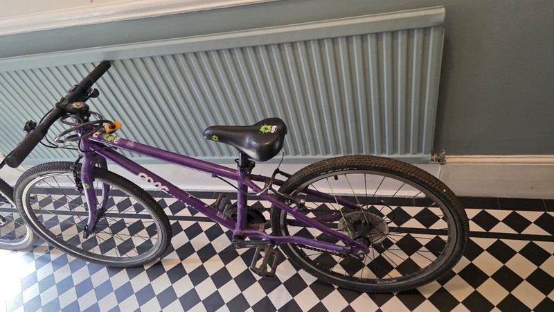 Purple Frog 62 Lightweight Bike