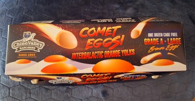COMET EGGS INTERGALACTIC ORANGE YOLKS POP ART EMPTY EGG CARTON FARM HOUSE DECOR