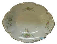 Schonwald Porcelain PSAG Bavaria Pink Roses Blue Flower OVAL SERVING BOWL 10"