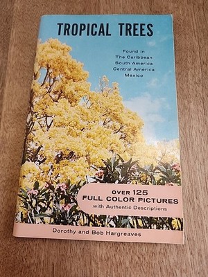Tropical Trees Found In The Caribbean South America Dorothy and Bob Hargreaves