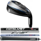 Build a Custom Cobra T-Rail 2 Iron or Wedge