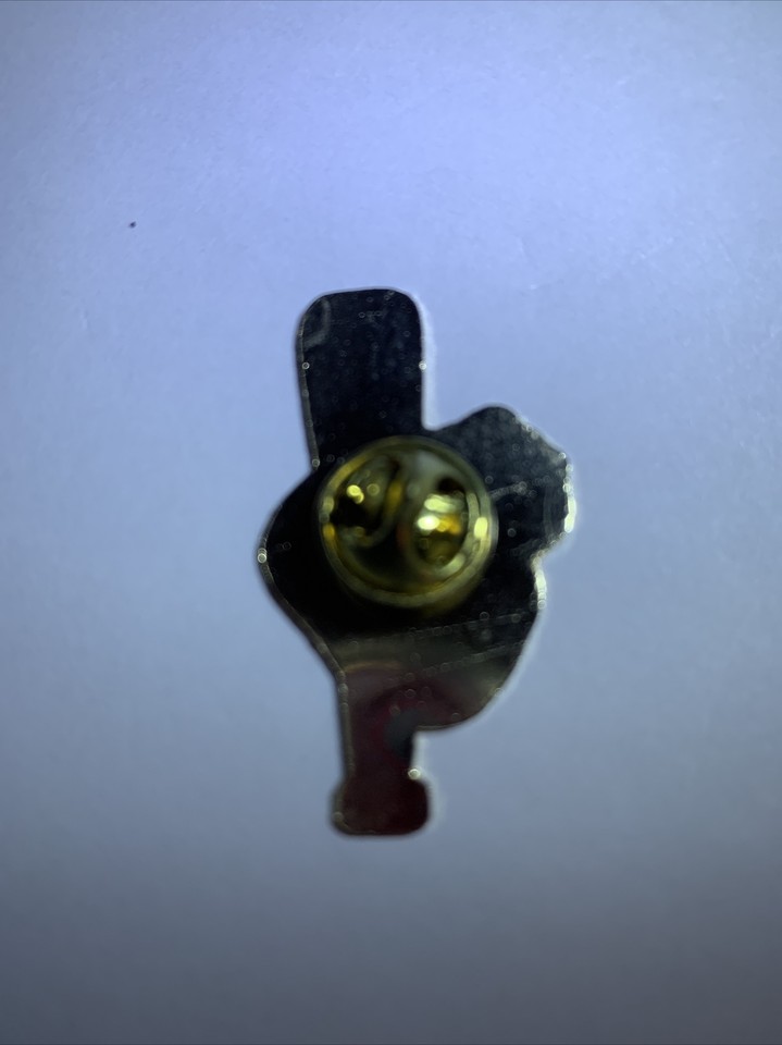 Lapel Pins Collectible Unique Buttons Sm Davenport Falcons IA Red