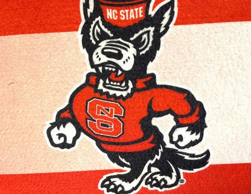 North Carolina State Step Mat Or Decorative Door Mat Insert 10x22” NCAA - Picture 2 of 3