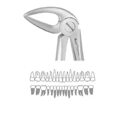 GDC Dental Extraction Forceps Lower Roots Premium FX33LP