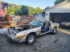 1981 Pontiac Firebird for Sale
