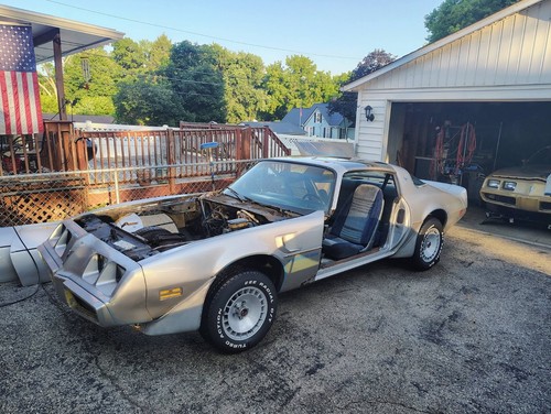 1981 Pontiac Firebird TRANS AM