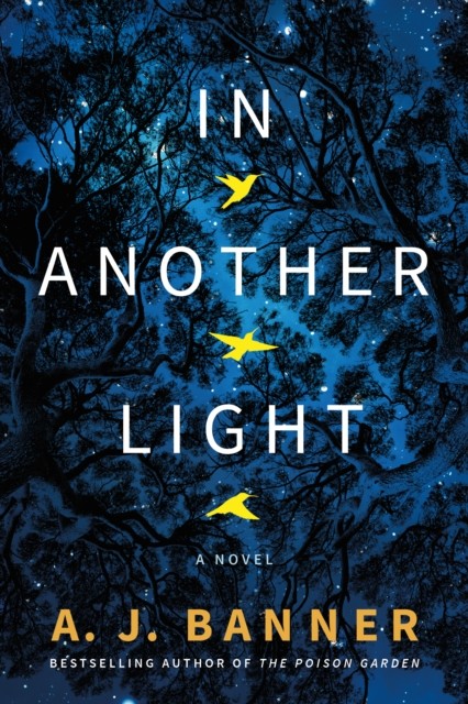 In Another Light A Novel by A. J. Banner (Paperback Book)