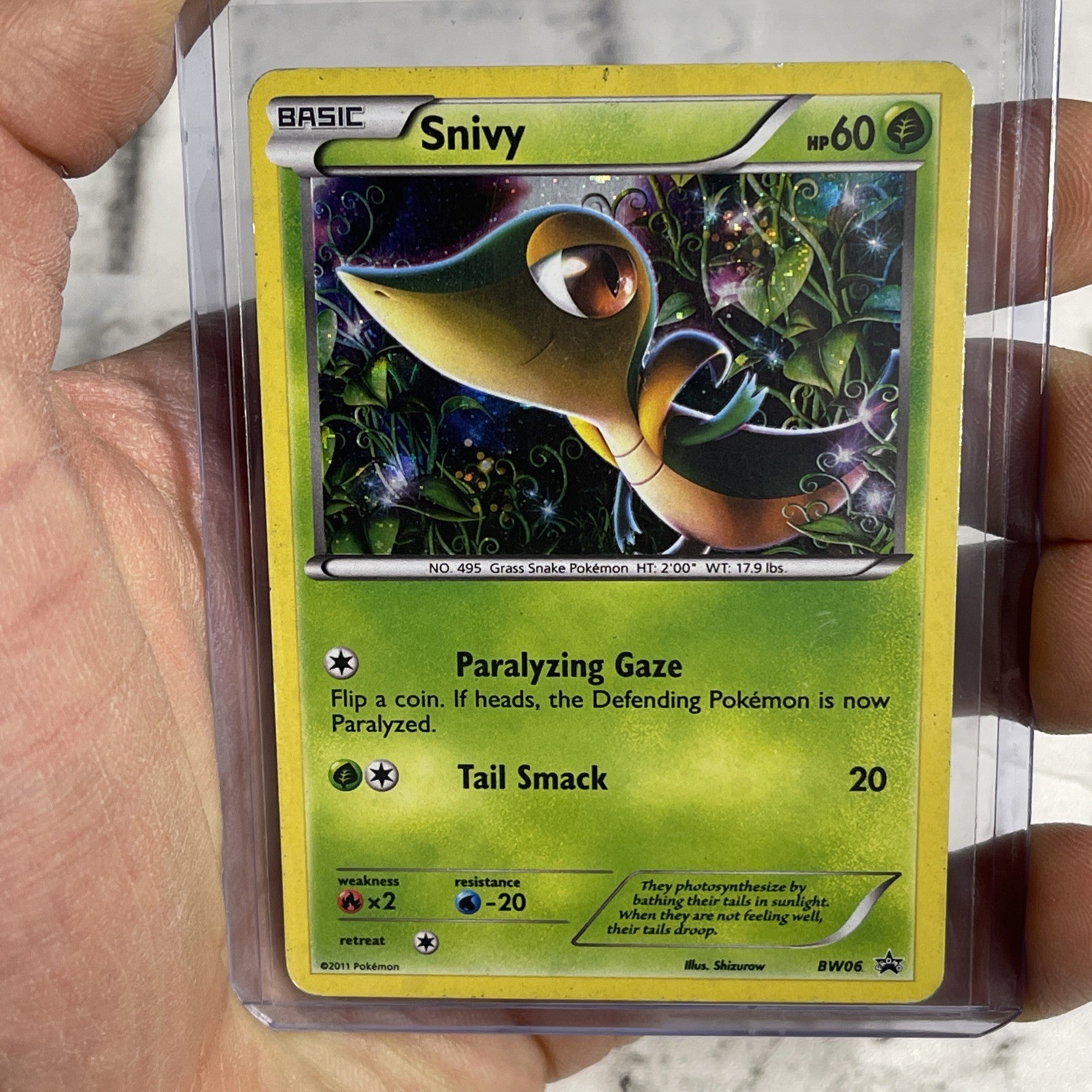 Pokemon Snivy Black and White Promo BW06 Holo LP Pokémon Nintendo Card 2011 TCG