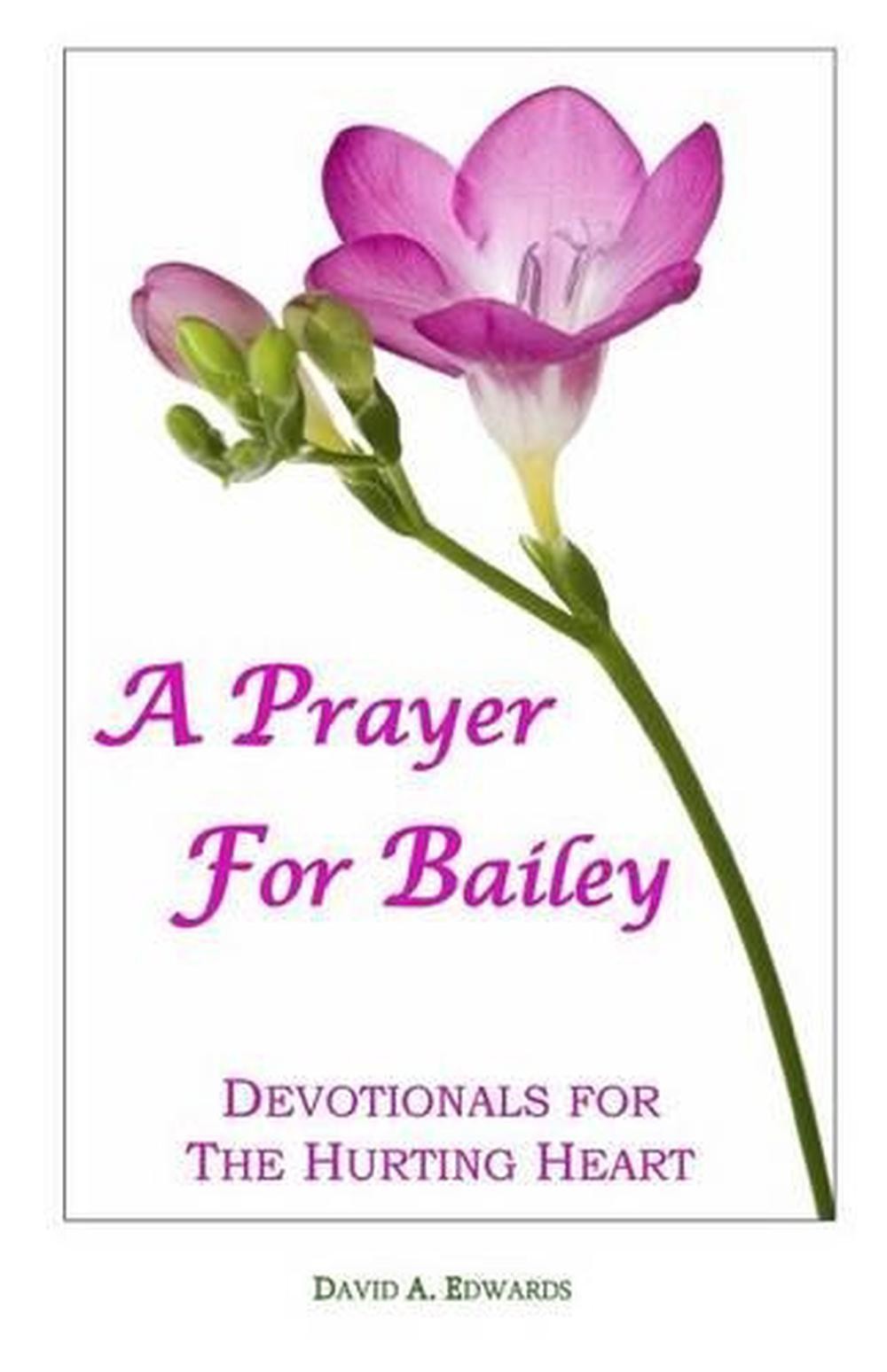 A Prayer for Bailey: Devotionals for the Hurting Heart by David A. Edwards (Engl