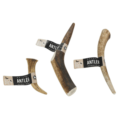 Genuine Natural Long Lasting Red Deer Elk Antlers Dog Chew Toy Treat - Picture 2 of 13