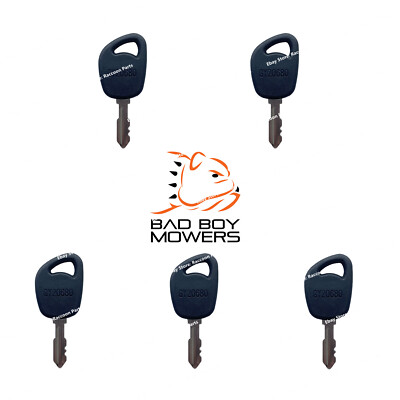 Bad Boy Zero Turn Lawn Mower Ignition Keys 042-9000-00 AOS