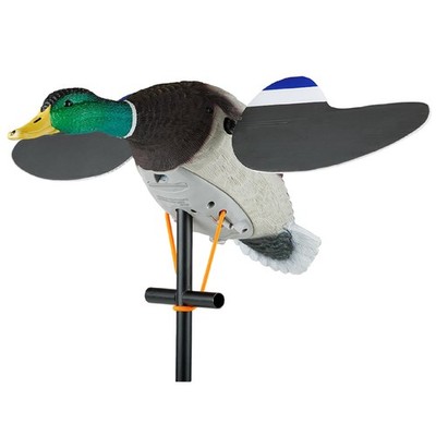 Lucky Duck Lucky Junior II 6V