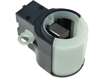 Halter Kohlebürsten AS AS-PL ABH6004S 12V