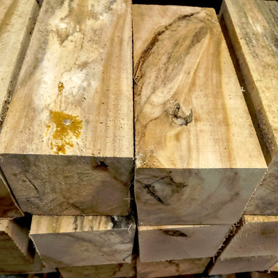 TWO (2) B-GRADE KILN DRIED BASSWOOD BLANKS LUMBER WOOD LATHE 5'' X 5'' X 12''