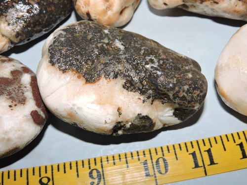 Menge 6 natürliche Rhyolith Stein Knötchen mit Zeolith Kristall Einschlüsse, 2 Pfund + - Bild 10 von 19