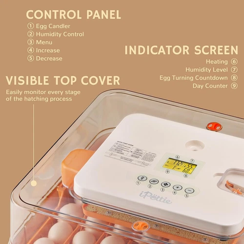 Eggs Incubator Chicken Quail Hatcher Incubators Automatic/Manual Hatching Eggs - Picture 70 of 78