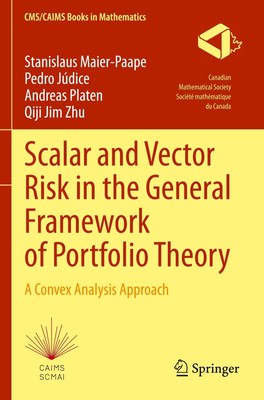 Scalar and Vector Risk in the General Framework of Portfolio Theory Taschenbuch