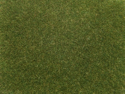 08364 Noch Erba filiforme verde medio lungh mm. 4 conf. gr. 20 - 第 1/1 張圖片