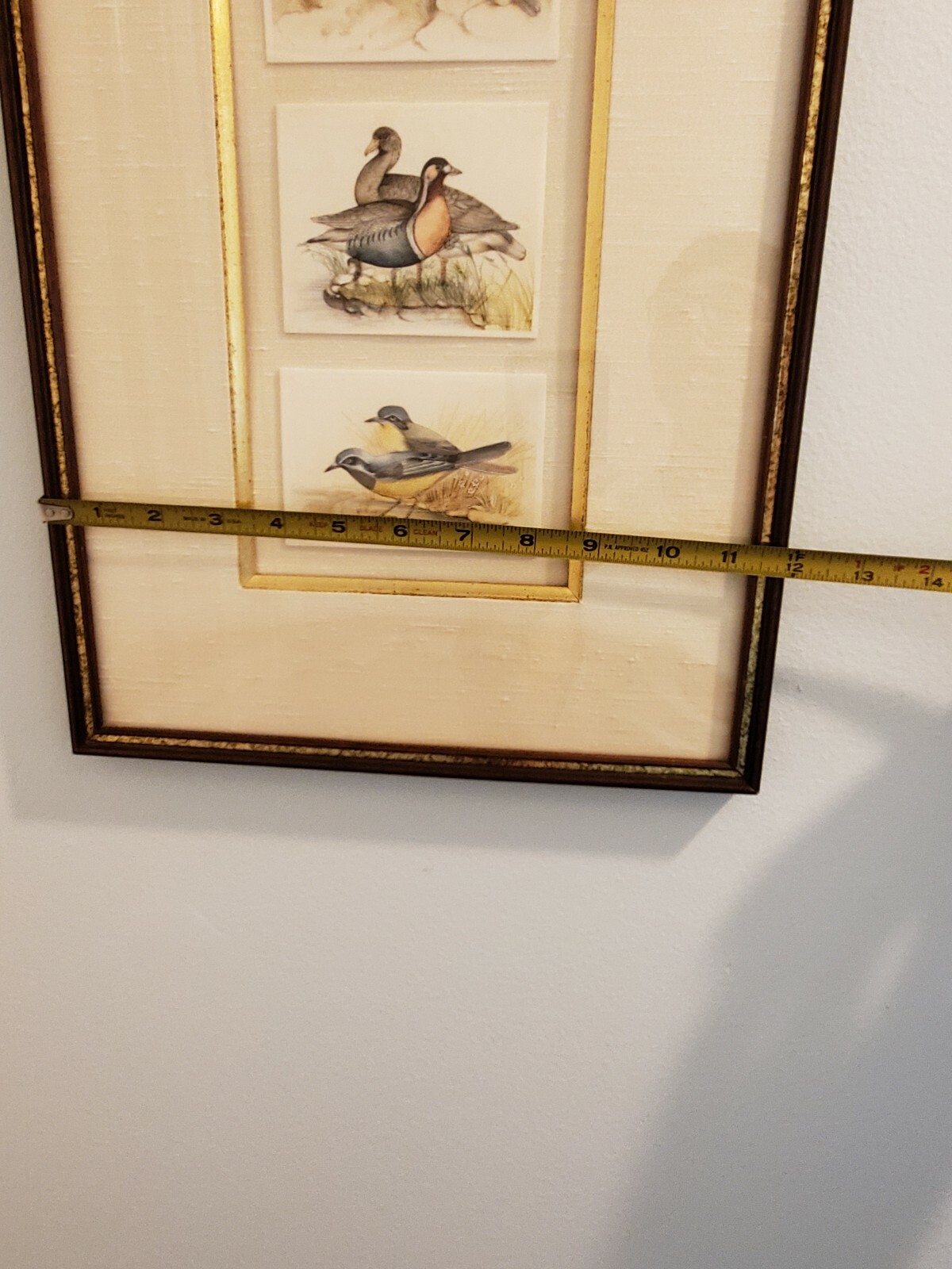 Picture 7 of 9