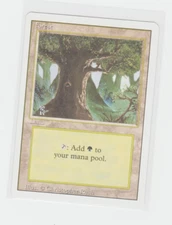 Magic the Gathering ~ MTG ~ 1x Forest (C) ~ 3rd Edition ~  M/NM ~ REVISED