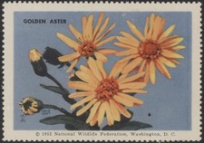 USA 1952 Nationl Wildlife Federation - Golden Aster