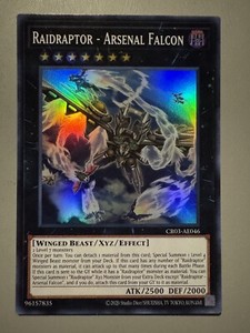 Raidraptor Arsenal Falcon | eBay