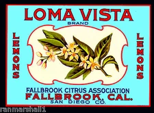 Fallbrook San Diego Loma Vista Lemon Citrus Fruit Crate Label Vintage Art Print