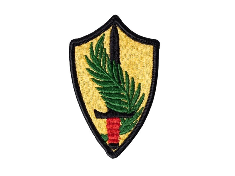 US ARMY ELEMENT CENTRAL COMMAND HAT PATCH CAP VETERN GIFT PIN UP WOW | eBay
