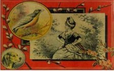 Woman bird & dog - print decal sticker trunk liner paper chest steamer vintage