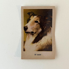 1964 Dutch Numbered Set 2 (1-156) Lassie #55