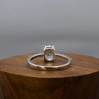 Foto 5 di 8