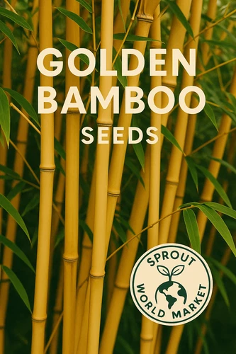 50 Golden Bamboo Seeds | Fast Growing | Cold Hardy | Privacy | USA Seller