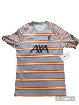Liverpool Nike Mens 2021/22 Team Pre-Match Performance Top - Gray LFC Futbol Med