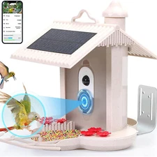 WIFI Smart Bird Feeder Camera Bird Video Auto Capture  Real-time Notificate Z8G4