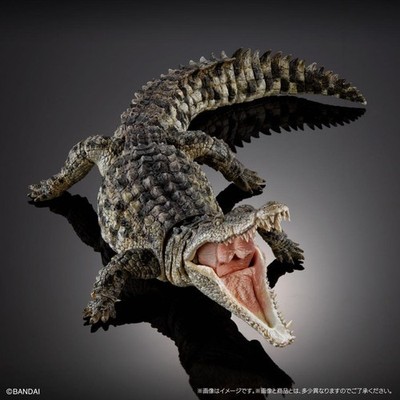 BANDAI The Diversity of Life Ultimate Nile Crocodile Light Color
