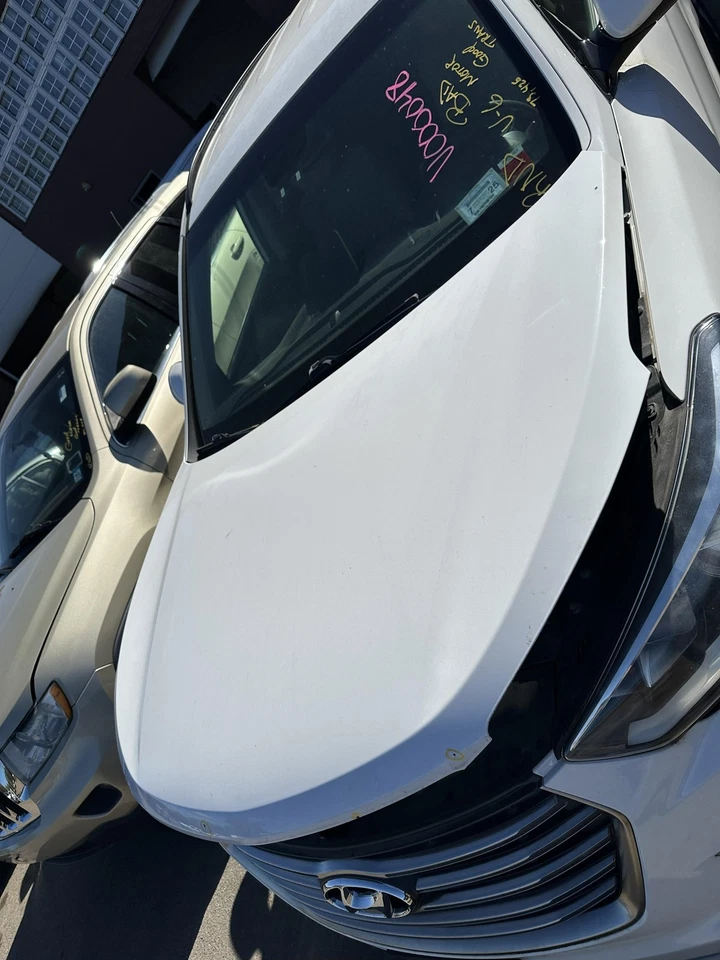 Capó 13 14 15 16 17 18 19 HYUNDAI SANTA FE Foto 3 de 4