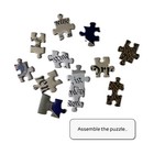 Foto 6 di 6
