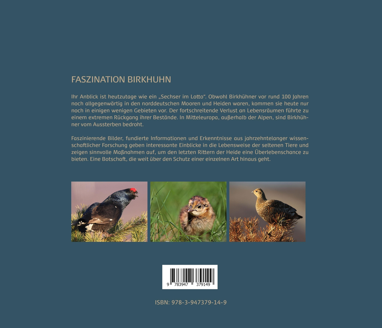 Thumbnail - Faszination Birkhuhn Egbert Strauß