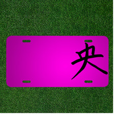 Custom Personalized Car License Plate With Add Names To Chinese Letter Writing