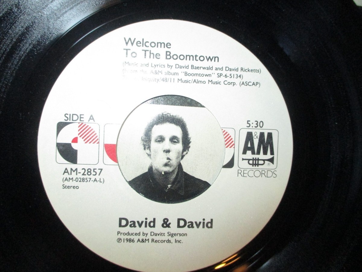 1986 DAVID & DAVID Welcome To The Boomtown US Picture Sleeve 7